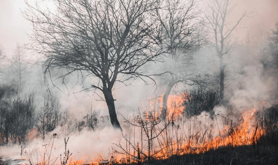Natural Disasters in Hindi | प्राकृतिक आपदाओं के हिंदी में नाम
